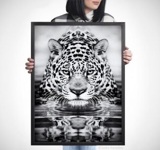 leopard fine art print