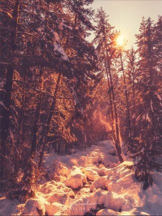 Winter sunset river print