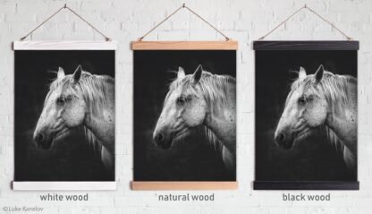 Horse print wall art