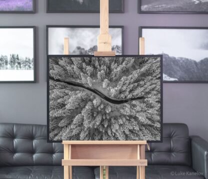 Aerial view of winter forest covered in snow – Framed Canvas