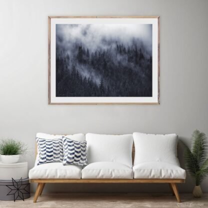 Black and white misty forest print