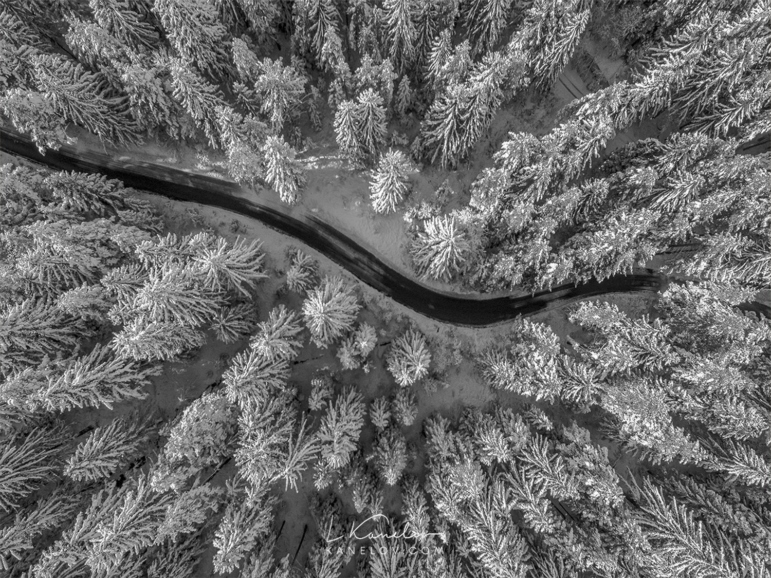 Aerial View Of Winter Forest Covered In Snow Nature Print By Luke Kanelov