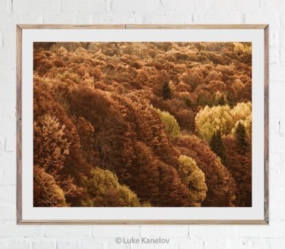 Golden autumn print