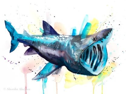 Basking shark watercolor painting print by Slaveika Aladjova