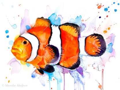 Clownfish, Anemonefish watercolor painting print by Slaveika Aladjova