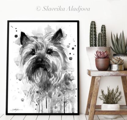 Black and white Cairn Terrier