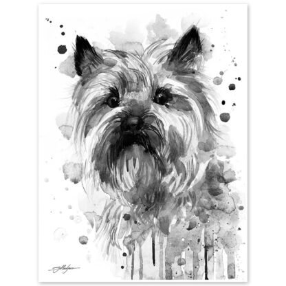 Black and white Cairn Terrier