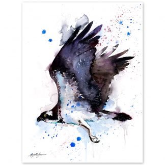 Osprey watercolor painting print by Slaveika Aladjova