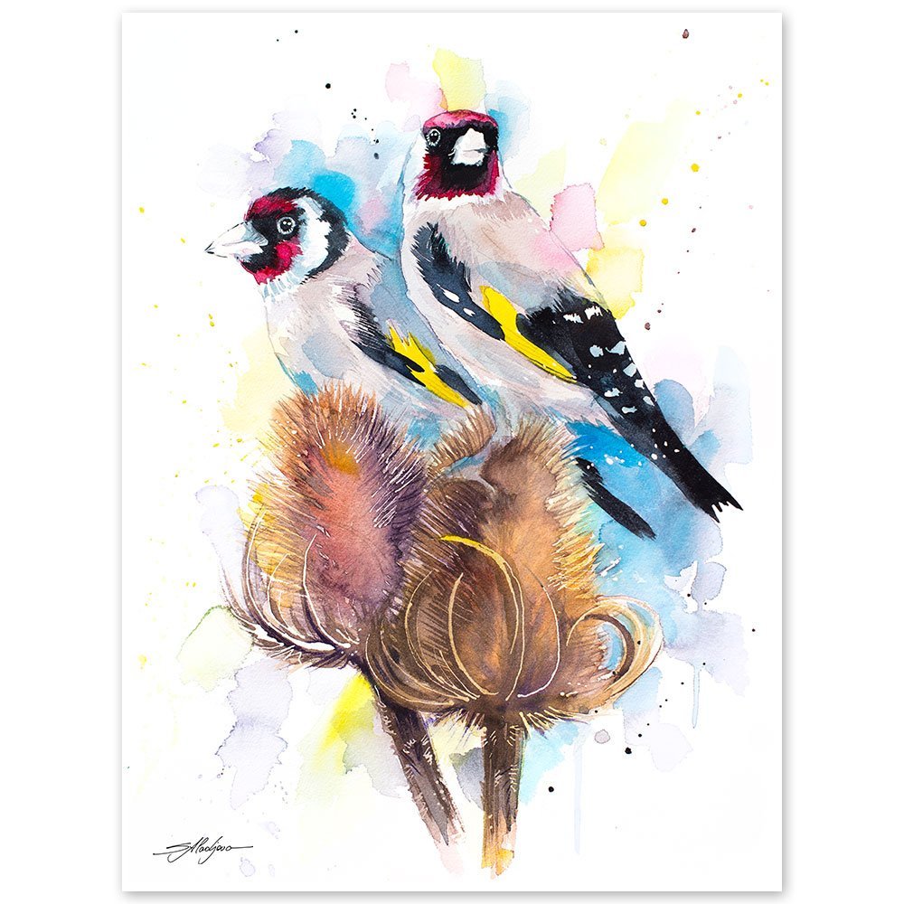 Goldfinch watercolor painting print by Slaveika Aladjova
