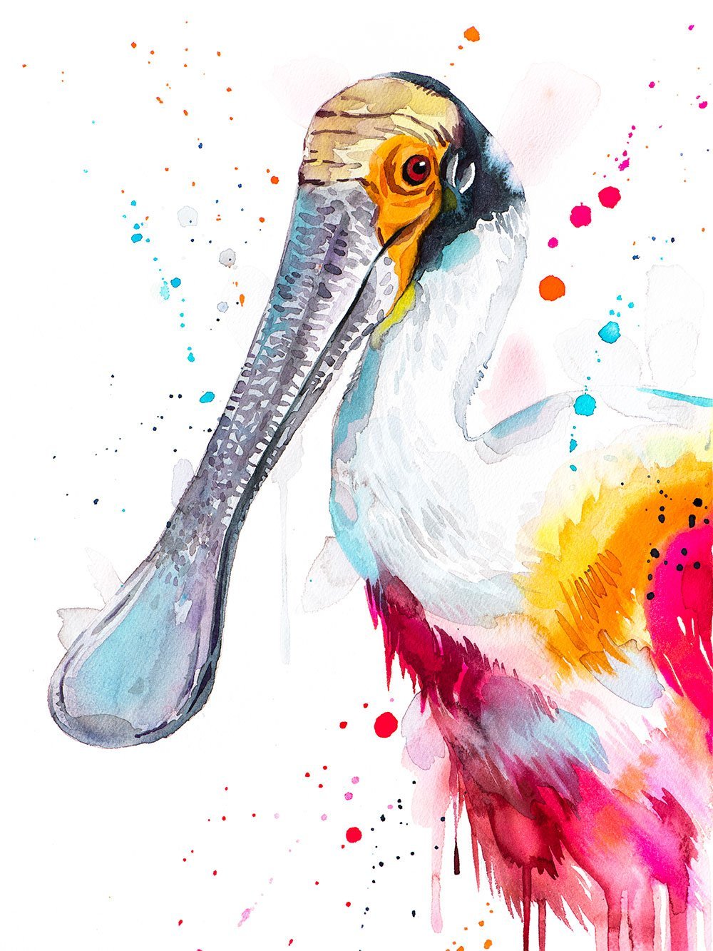 Roseate spoonbill watercolor painting print by Slaveika Aladjova
