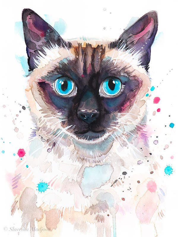 Siamese cat watercolor painting print by Slaveika Aladjova