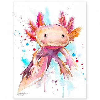 Axolotl, salamander