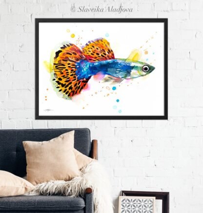 Guppy, Rainbow fish