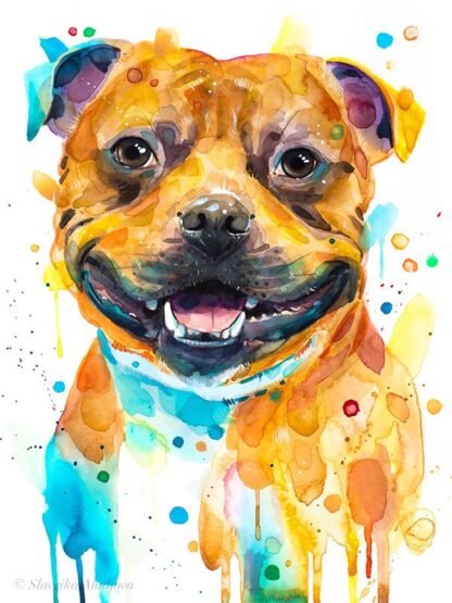 Staffordshire Bull Terrier, Dog watercolor painting print by Slaveika Aladjova